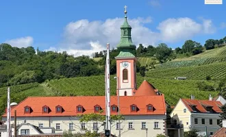 RESIDIEREN AM FREIHOF im Herzen der Weinberge - Historischer Charme kombiniert mit dem Zeitgeist der Moderne