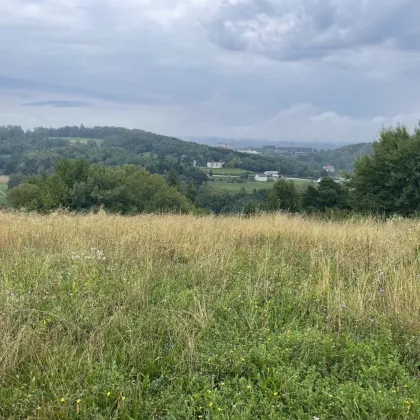 Baugrund für Ihr Eigenheim in Stegersbach - Bild 2