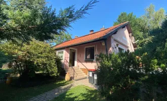 Einfamilienhaus mit großem Garten, Pool und Garage in Rohrendorf bei Krems