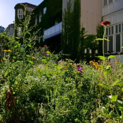 Grünruhelage nahe Rudolfstiftung! Luxuriöse 3-Zimmer-Erstbezug-Dachterrassen-Wohnung mit Outdoor-Pool in historischem Gebäude - Bild 2