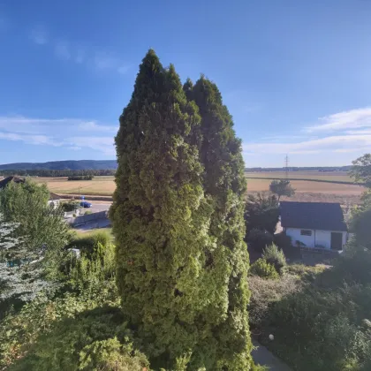 Einfamilienhaus mit unverbaubaren Weitblick - Bild 3