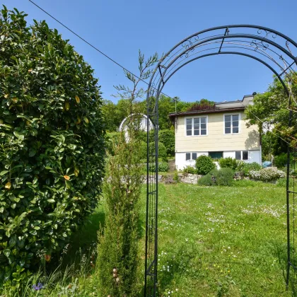 Urlaub im Garten: Grundstück am Heuberg mit herrlichem Blick über Wien - Bild 2