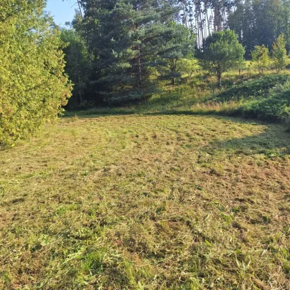 Häuschen in herrlicher Lage am Wasser, Ruhe & Natur im Waldviertel - Bild 2