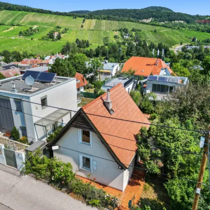 Traumhaftes Grundstück mit idyllischem Blick über Wiens Weinberge - Bild 3