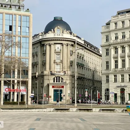 ARBEITEN IM PALAIS /// SCHWARZENBERGPLATZ /// großes, flexibles Büro mit zwei Eingängen in bester Lage - Bild 2