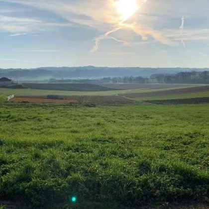 Haus+Grund: Hochwertiges Niedrigenergiehaus und schönes Grundstück in Heiligenberg - Bild 2