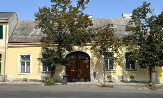 Zum Verlieben: Altes Winzerhaus auf herrlichem Baugrund mit großem Erweiterungspotential - Neubau oder Sanierung?