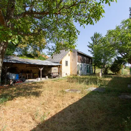 Zum Verlieben: Altes Winzerhaus auf herrlichem Baugrund mit großem Erweiterungspotential - Neubau oder Sanierung? - Bild 2