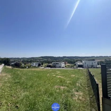 Südhang Grundstück mit Weitblick in Pichl bei Wels - Bild 2