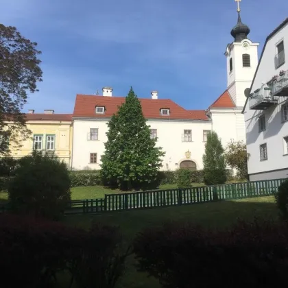 Neues Video online - Nußdorf - Ruhelage mit Blick zur Kirche - uneinsehbares Hochparterre - straßenseitig - Bild 3