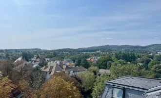 BÜRO und WOHNEN in einem exklusiven Penthouse mit 360 ° Ausblick, 2 Terrassen und fantastischer Aussicht  - Luxus pur!