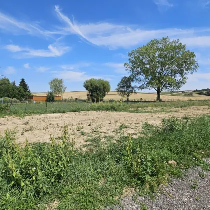 578m² Idyllischer Baugrund in Wetzleinsdorf/ Weinviertel - Bild 2