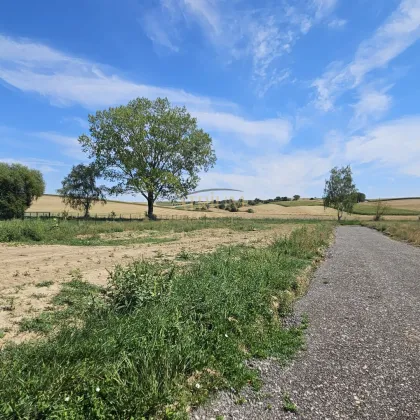 578m² Idyllischer Baugrund in Wetzleinsdorf/ Weinviertel - Bild 3