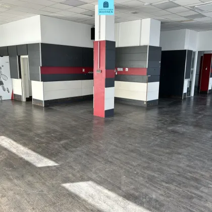 Geschäftslokal (260m²) mit Lagerfläche (125 m² im UG) - ab sofort - ohne Ablöse!! - Bild 2