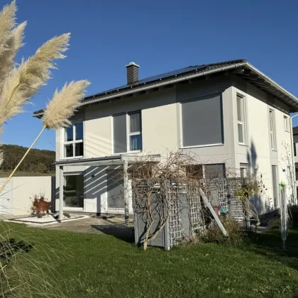 Moderne Traumimmobilie in Dreistetten - 6 Zimmer, Terrasse, Garage und mehr für € 649.000,00! - Bild 3