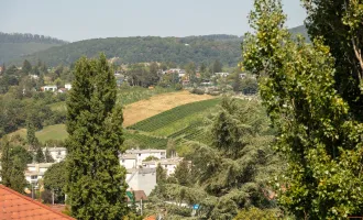 BILDSCHÖNE TERRASSENWOHNUNG IN DEN WEINBERGEN