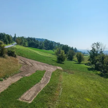 Landwirtschaftliche Grünfläche auf der Ruhstatt in Völkermarkt - Bild 2