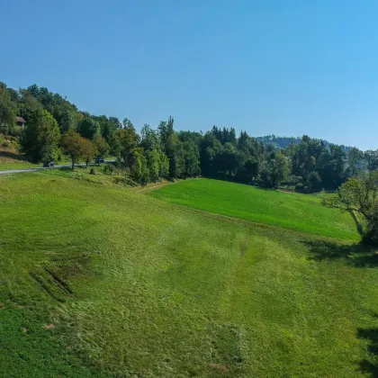 Landwirtschaftliche Grünfläche auf der Ruhstatt in Völkermarkt - Bild 3