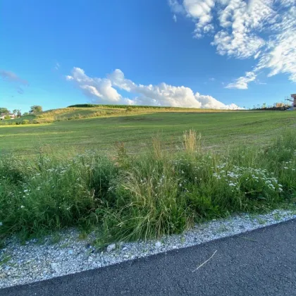 Wunderschönes Baugrundstück in gefragter Lage - mit Blick über Wels! - Bild 2