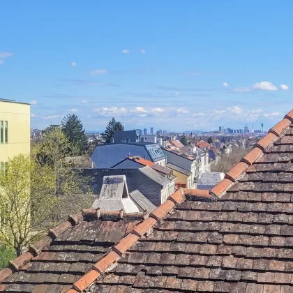 -10% BUWOG WOHNPREISSCHMELZE! PROVISIONSFREI VOM EIGENTÜMER! FERNSICHT! INTERESSANTE 3-ZIMMER WOHNUNG NÄHE HIETZINGER HAUPTSTRASSE! - Bild 3