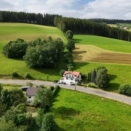 Provisionsfrei! Großzügiges Familienhaus, auch für 2 Familien bzw. Mehrgenerationenhaus geeignet! Natur pur! - Bild 2