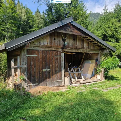 Baugrundstück mit Holzhütte in Steinhaus am Semmering - Bild 2