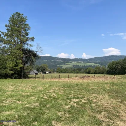 Reizender Ausblick, gute Lage  - ein tolles Grundstück im schönen Kärnten - Bild 2