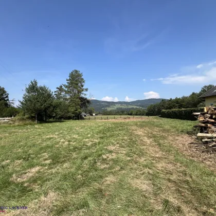 Reizender Ausblick, gute Lage  - ein tolles Grundstück im schönen Kärnten - Bild 3