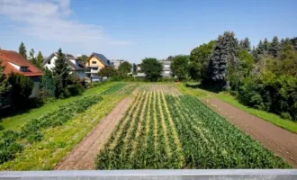 Sehr gepflegte 3 Zimmerwohnung mit Fernblick