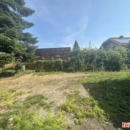 700m² Baugrund zum unschlagbaren Preis von 270.000,00 €! in Wolfpassing, Niederösterreich - Bild 3