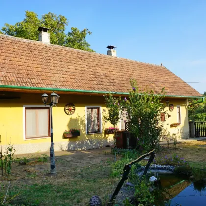 Romantisches Bauernsacherl für Ruhesuchende im Weinviertel - Bild 2