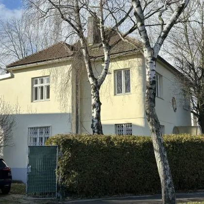 MEHRFAMLIENHAUS IN BESTER LAGE MIT VIEL POTENZIAL BEIM ROTEN BERG - Bild 2