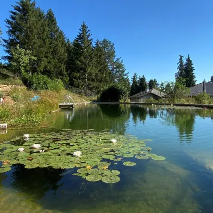 HEIMKOMMEN - in ein einzigartiges PARADIES - Bild 3