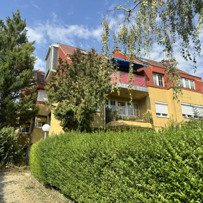 Wunderschön sanierte 2-Zimmer-Wohnung mit traumhaften Weitblick!! - Bild 2