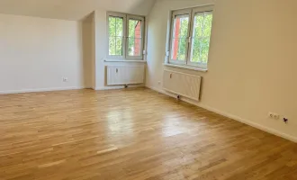 Wunderschön sanierte 2-Zimmer-Wohnung mit traumhaften Weitblick!! (freier Mietzins!)