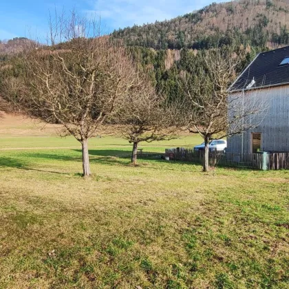 Traumhaftes EFH mit schönem Gartenanteil - Bild 3