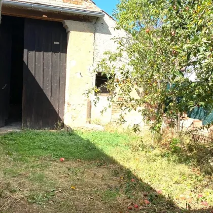 Bauernhaus mit zwei Wohneinheiten, 2 große Stadel. Garage, Nebengebäude - Bild 3