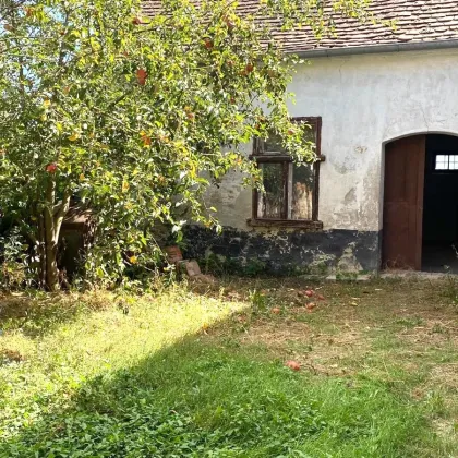 Bauernhaus mit zwei Wohneinheiten, 2 große Stadel. Garage, Nebengebäude - Bild 2