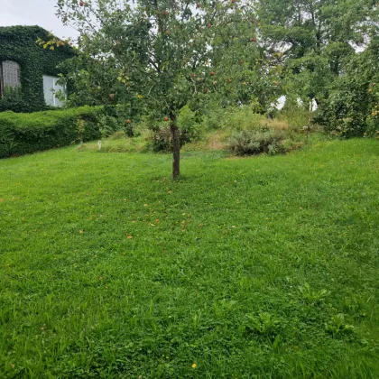 Gartenwohnung in Atzbach TOP2 inkl. NEUER Küche! - Bild 3