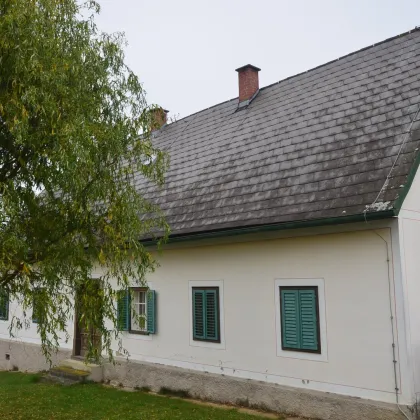 BAUERNHAUS mit 4,3 ha Grund - Renovierungsbedürftig - Bild 3