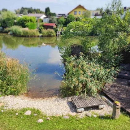 Neufelder See IIIa - Ferienhaus auf Mietgrund - Direkt am See - Eigene Bucht - Bild 2