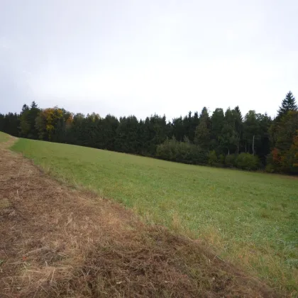 GRUNDSTÜCK zur landwirtschaftlichen Nutzung - Bild 2