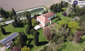 Ein Märchenschloss Nähe Wildon-komplett saniert mit prachtvoller 40.000m² Parkanlage - Biomasseheizung!