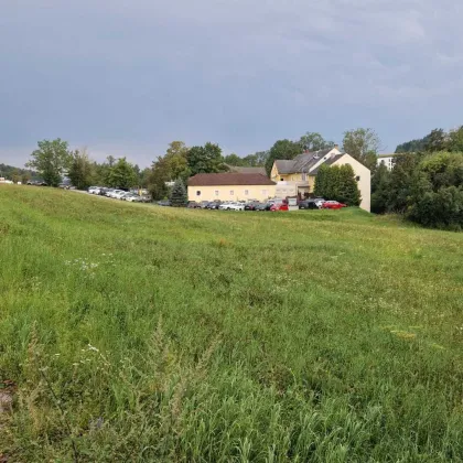 Mischbaugebiet Thalheim bei Wels B138 - Bild 3