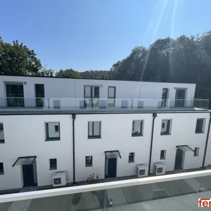 Reihenhaus in Hainburg an der Donau mit Weitblick - Bild 2