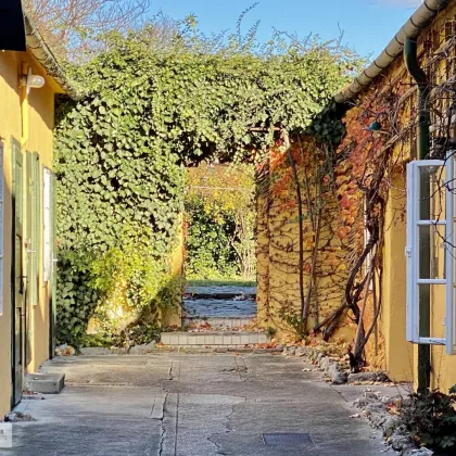 GUMPOLDSKIRCHEN /// BIS ZU SECHS WOHNEINHEITEN /// HISTORISCHES BÜRGERHAUS MIT HERRLICHEM GARTEN - Bild 3