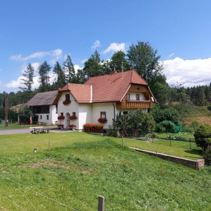 2 ha Liegenschaft in traumhafter Lage (Naturpark Zirbitzkogel-Grebenzen) mit Haus, Stall und Garage - Bild 3