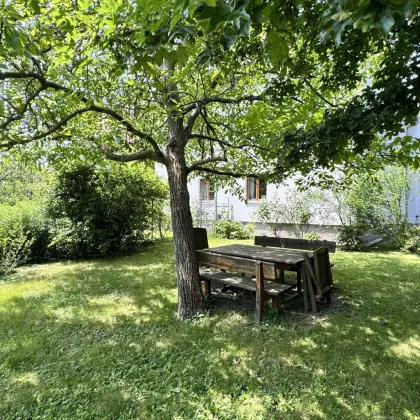 Traumhafte Dachgeschosswohnung mit Terrasse und Garten in Maria Enzersdorf | ZELLMANN IMMOBILIEN - Bild 2