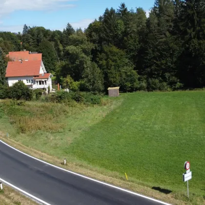 Traumhaftes Baugrundstück in sonniger Ortsrandlage - Bild 3