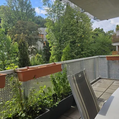 Familientraum - wunderschöne 4-Zimmer Balkon-Wohnung in Neuwaldegg - Bild 2